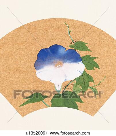 Stock Illustration - Morning glory inside fan shaped frame. Fotosearch