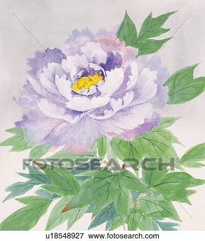Peony, close up View Large Illustration Stock Illustration - Peony, close up. Fotosearch