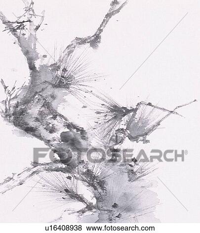 Stock Illustration - Pine tree, black and white . Fotosearch