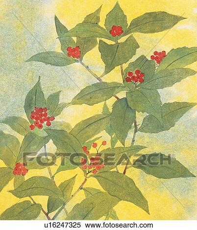 Stock Illustration - Senryo . Fotosearch