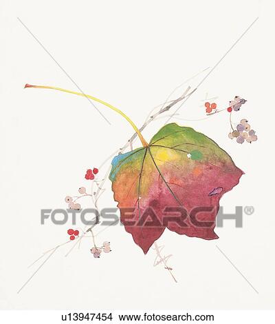 Single ivy leaf View Large Illustration Stock Illustration - Single ivy leaf. Fotosearch
