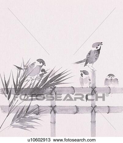 Drawing - Sparrows perching on bamboo fence, black and white . Fotosearch
