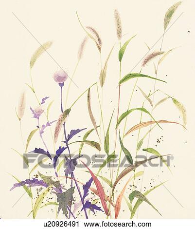 Clip Art - Summer grasses. Fotosearch