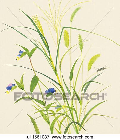 Stock Illustration - Summer grasses. Fotosearch