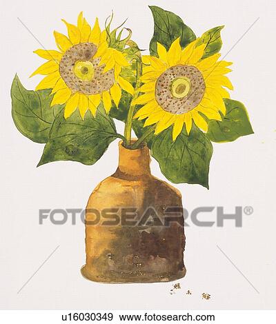 Stock Illustration - Sunflowers in vase. Fotosearch