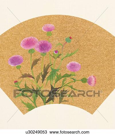 Thistle inside fan shaped frame View Large Illustration Drawing - Thistle inside fan shaped frame. Fotosearch
