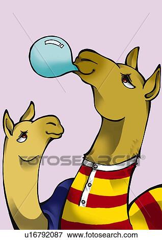 Camels blowing bubblegum, side view, purple background View Large Illustration Stock Illustration - Camels blowing bubblegum, side view, purple background. Fotosearch