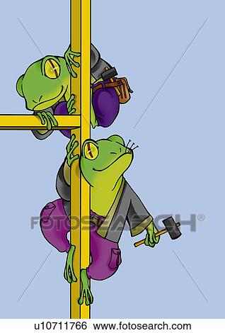 Frogs constructing, front view, blue background View Large Illustration Stock Illustration - Frogs constructing, front view, blue background. Fotosearch