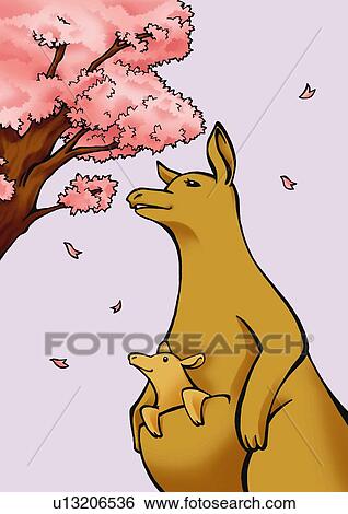Kangaroos standing under cherry tree, joey in pouch, low angle view, purple background View Large Illustration Stock Illustration - Kangaroos standing under cherry tree, joey in pouch, low angle view, purple background. Fotosearch