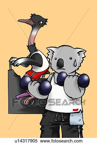 Ostrich and koala exercising in gym, front view, side view, orange background View Large Illustration Stock Illustration - Ostrich and koala exercising in gym, front view, side view, orange background. Fotosearch