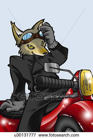 Wolf riding on a motorcycle, front view, blue background View Large Illustration Stock Illustration - Wolf riding on a motorcycle, front view, blue background. Fotosearch