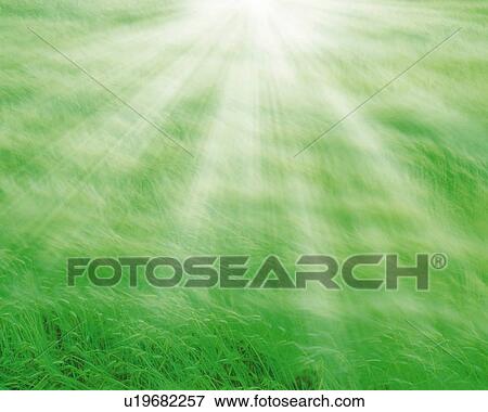 Field and Light, CG, 3D, Composite, Photography, Lens Flare View Large Illustration Stock Illustration - Field and Light, CG, 3D, Composite, Photography, Lens Flare. Fotosearch