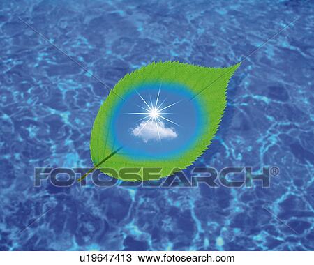 Leaf floating on Water, CG, 3D, Composite, Photography, High Angle View, Lens Flare View Large Illustration Drawing - Leaf floating on Water, CG, 3D, Composite, Photography, High Angle View, Lens Flare. Fotosearch