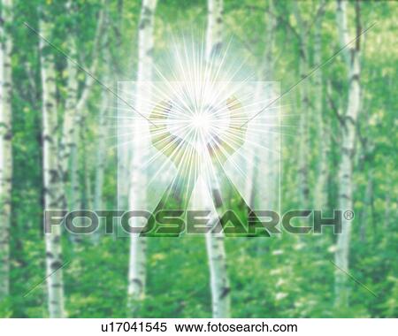 Trees and Light, CG, 3D, Composite, Photography, Differential Focus, Lens Flare View Large Illustration Stock Illustration - Trees and Light, CG, 3D, Composite, Photography, Differential Focus, Lens Flare. Fotosearch