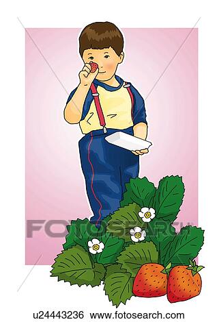 Boy holding a strawberry, front view, white background, cut out View Large Illustration Stock Illustration - Boy holding a strawberry, front view, white background, cut out. Fotosearch