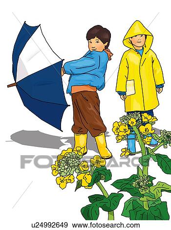 Stock Illustration - Portrait of two boys and rape blossoms, one holding an umbrella, side view, front view, white background, cut out. Fotosearch
