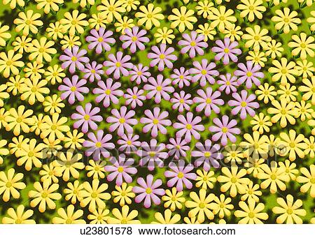 Heart Shape formed by Flowers, CG, 3D, Illustration View Large Illustration Stock Illustration - Heart Shape formed by Flowers, CG, 3D, Illustration. Fotosearch