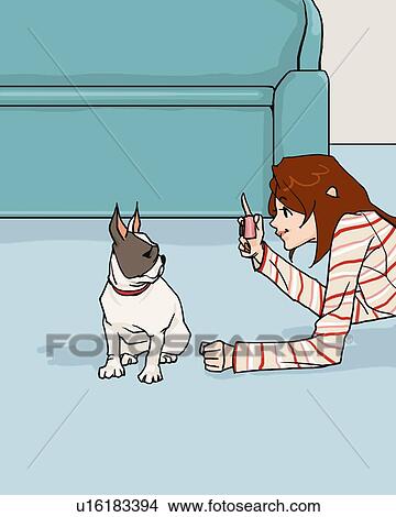 Stock Illustration - Woman taking a picture of Boston Terrier in living room, dog looking at the camera, side view, Illustrative Technique. Fotosearch