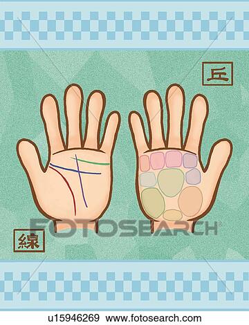 Human palms, front view View Large Illustration Stock Illustration - Human palms, front view. Fotosearch