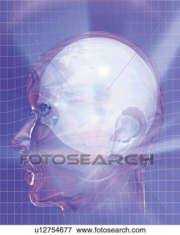 Glazing Human Head Image, CG, 3D, Illustration, Close Up, Side View View Large Illustration Stock Illustration - Glazing Human Head Image, CG, 3D, Illustration, Close Up, Side View. Fotosearch