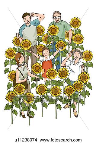 Stock Illustration - Family and Sunflowers, Illustration, High Angle View. Fotosearch