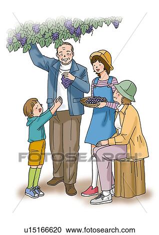 Clipart - Grandparents and grandchildren picking grapes, Illustration, Front View, Side View. Fotosearch