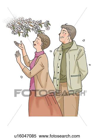 Stock Illustration - Senior couple and cherry blossoms, Illustration, Side View. Fotosearch