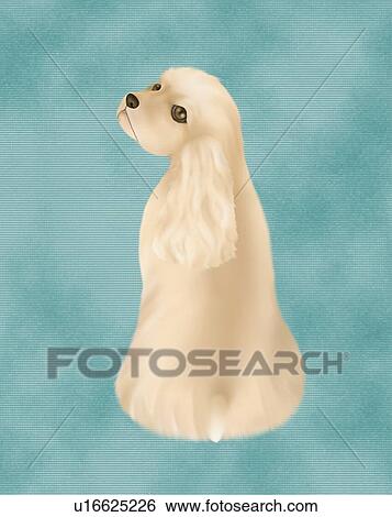 American Cocker Spaniel looking back, rear view, blue background View Large Illustration Stock Illustration - American Cocker Spaniel looking back, rear view, blue background. Fotosearch