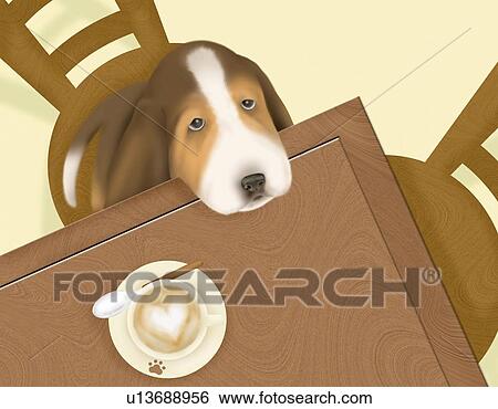 Basset Hound putting head on a table, high angle view View Large Illustration Stock Illustration - Basset Hound putting head on a table, high angle view. Fotosearch