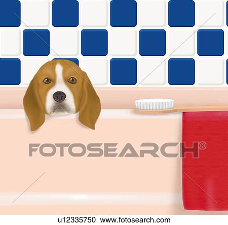 Clipart - Beagle in bathtub, front view. Fotosearch