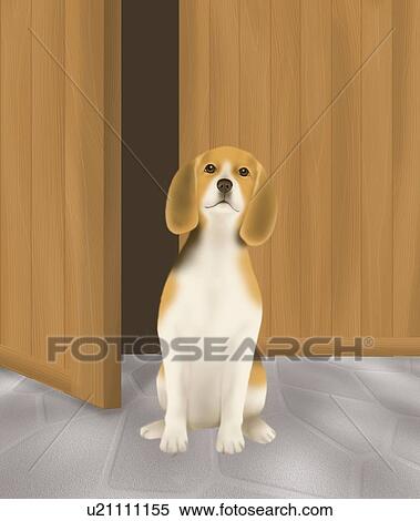 Stock Illustration - Beagle sitting in front of door, front view. Fotosearch