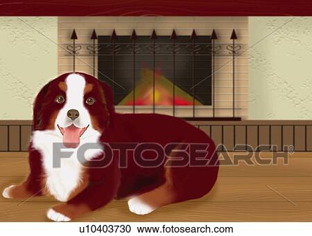 Clipart - Bernese Mountain Dog lying in front of fireplace, front view. Fotosearch