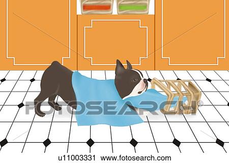Clip Art - Boston Terrier playing with laundry basket, side view. Fotosearch