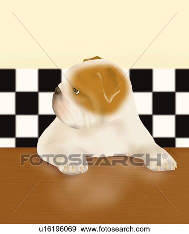 Bulldog leaning on a table, front view, differential focus View Large Illustration Stock Illustration - Bulldog leaning on a table, front view, differential focus. Fotosearch