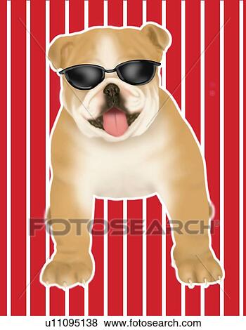 Stock Illustration - Bulldog wearing sunglasses, front view. Fotosearch