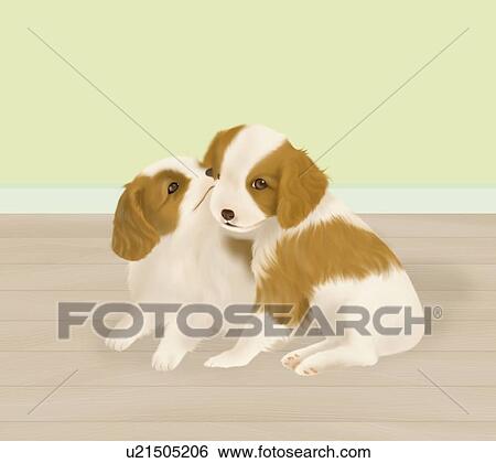 Stock Illustration - Cavalier King Charles Spaniel puppies on floor, side view. Fotosearch