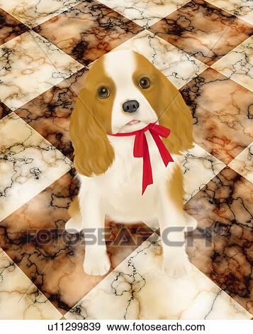 Stock Illustration - Cavalier King Charles Spaniel sitting on marble floor, high angle view. Fotosearch