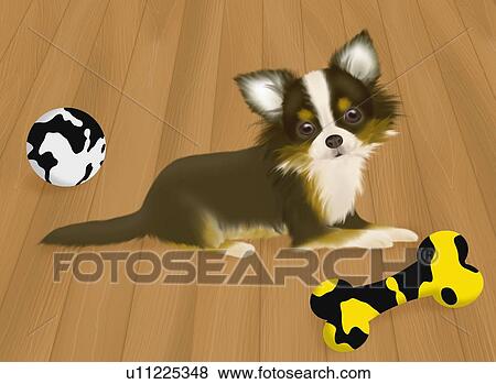 Chihuahua playing with toys, side view View Large Illustration Stock Illustration - Chihuahua playing with toys, side view. Fotosearch