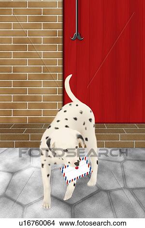 Stock Illustration - Dalmatian holding an envelope in mouth, high angle view. Fotosearch