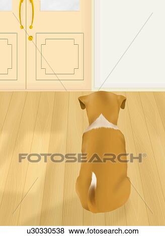 Stock Illustration - Dog sitting in front of door, rear view. Fotosearch