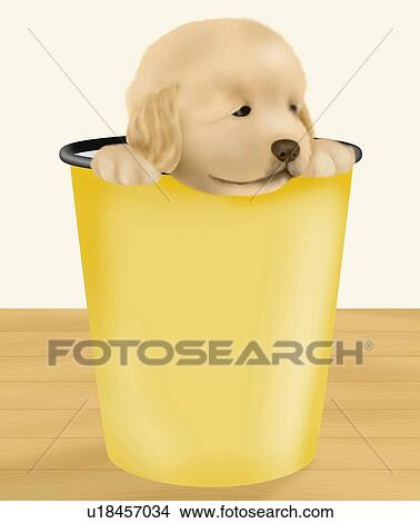 Golden Retriever puppy in a bucket, front view View Large Illustration Stock Illustration - Golden Retriever puppy in a bucket, front view. Fotosearch