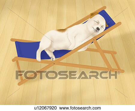 Jack Russell Terrier sleeping on a lounge chair, high angle view View Large Illustration Clipart - Jack Russell Terrier sleeping on a lounge chair, high angle view. Fotosearch