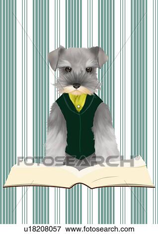 Stock Illustration - Miniature Schnauzer in clothes leaning on a opened book, front view. Fotosearch