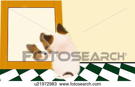 Drawing - Papillon looking at a mirror, rear view. Fotosearch