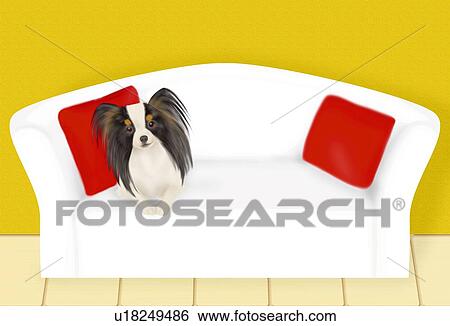 Stock Illustration - Papillon lying on sofa, front view. Fotosearch