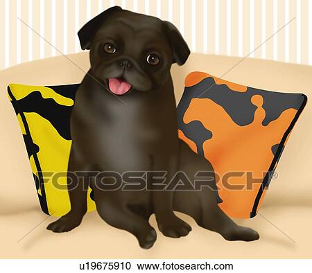 Clipart - Pug sitting on sofa, front view. Fotosearch