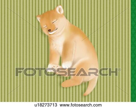 Shiba Inu sleeping on Tatami mat, high angle view View Large Illustration Drawing - Shiba Inu sleeping on Tatami mat, high angle view. Fotosearch