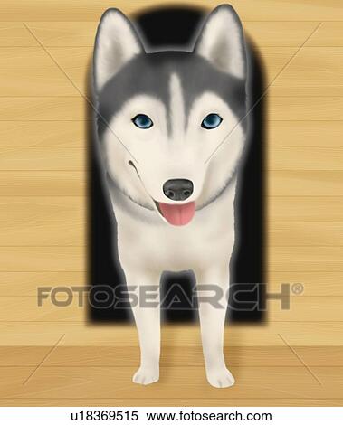 Siberian Husky getting out of a dog kennel, front view View Large Illustration Stock Illustration - Siberian Husky getting out of a dog kennel, front view. Fotosearch