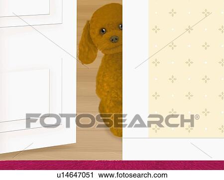 Clip Art - Toy Poodle sitting behind the door, front view. Fotosearch