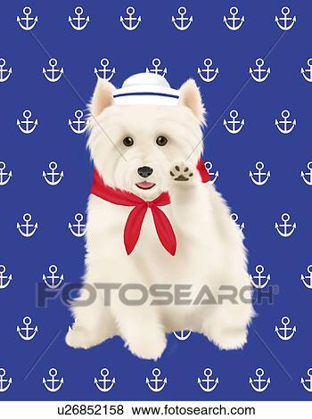 Westie wearing hat and scarf, front view View Large Illustration Stock Illustration - Westie wearing hat and scarf, front view. Fotosearch